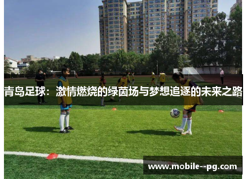 青岛足球：激情燃烧的绿茵场与梦想追逐的未来之路