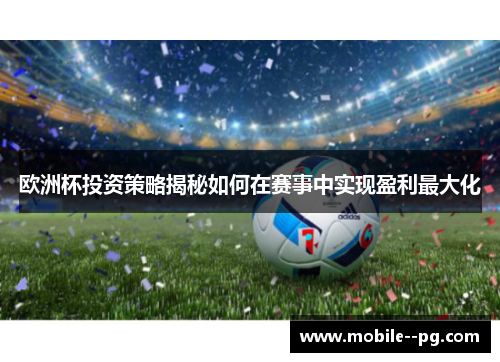欧洲杯投资策略揭秘如何在赛事中实现盈利最大化 欧洲杯投资策略揭秘如何在赛事中实现盈利最大化