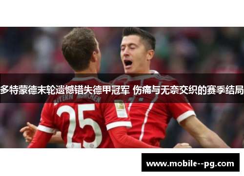 多特蒙德末轮遗憾错失德甲冠军 伤痛与无奈交织的赛季结局